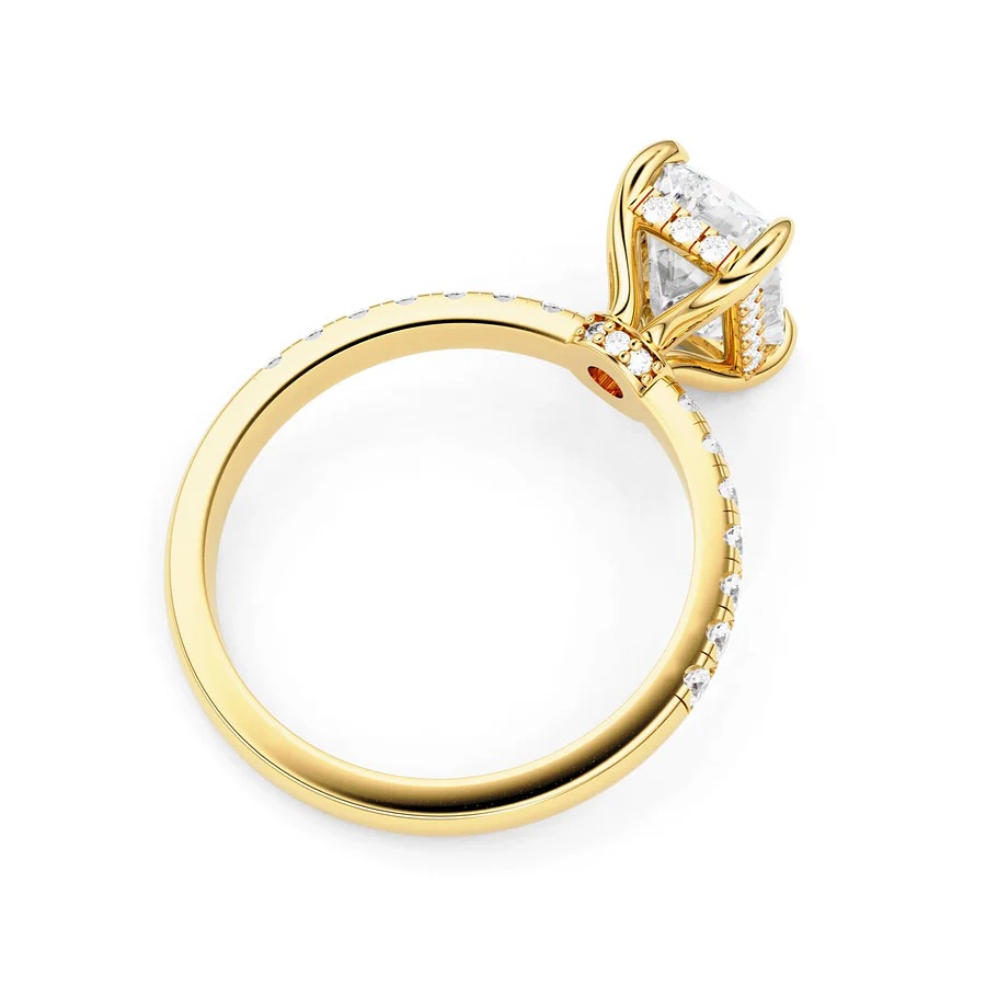 Radiant Grace: Double Hidden Halo Engagement Ring