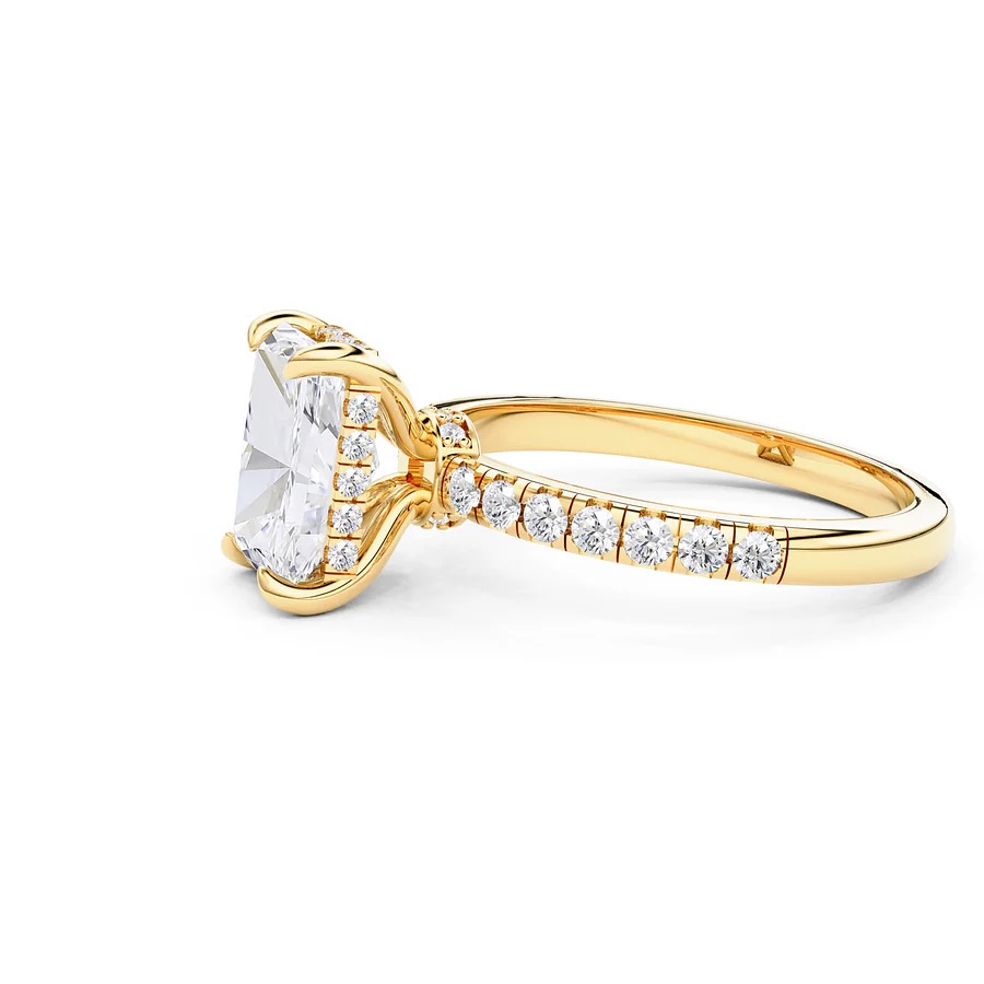 Radiant Grace: Double Hidden Halo Engagement Ring