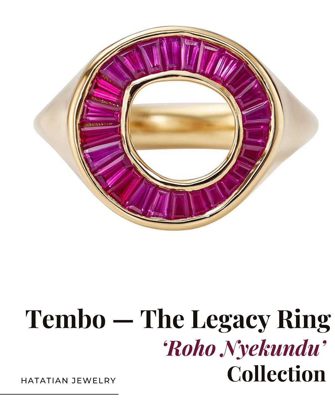 Tembo – The Legacy Ring